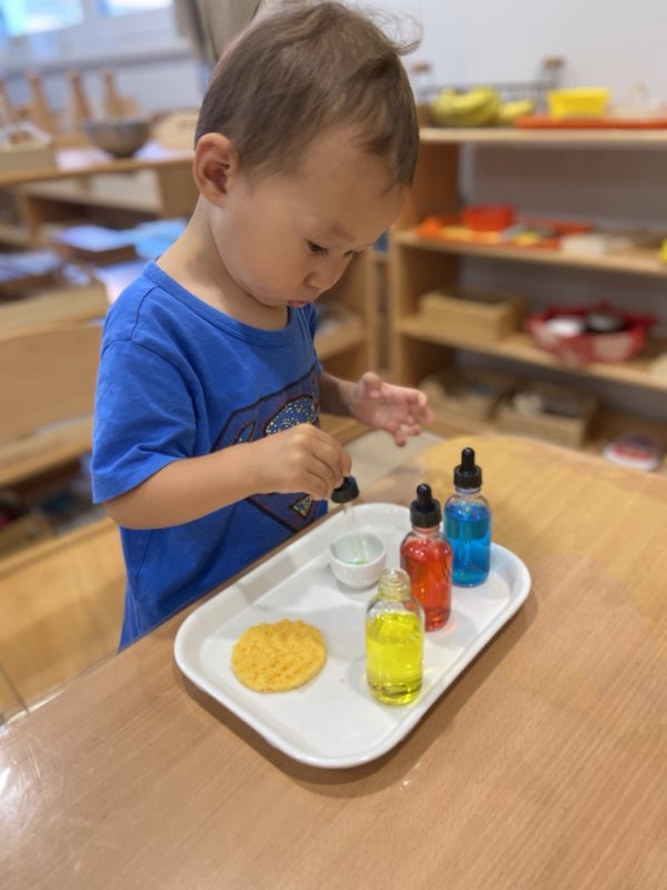 Bamboo Montessori — zdjęcie 25 z galerii placówki